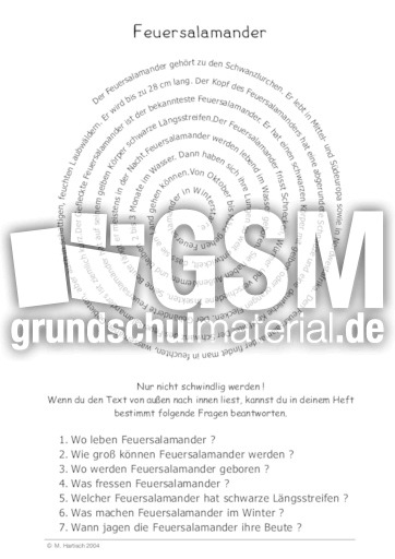Feuersalamander.pdf